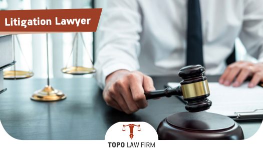 litigation-lawyer