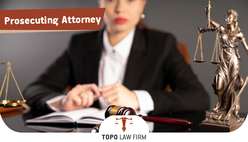 Prosecuting Attorney Topo Law Firm Istanbul 8131